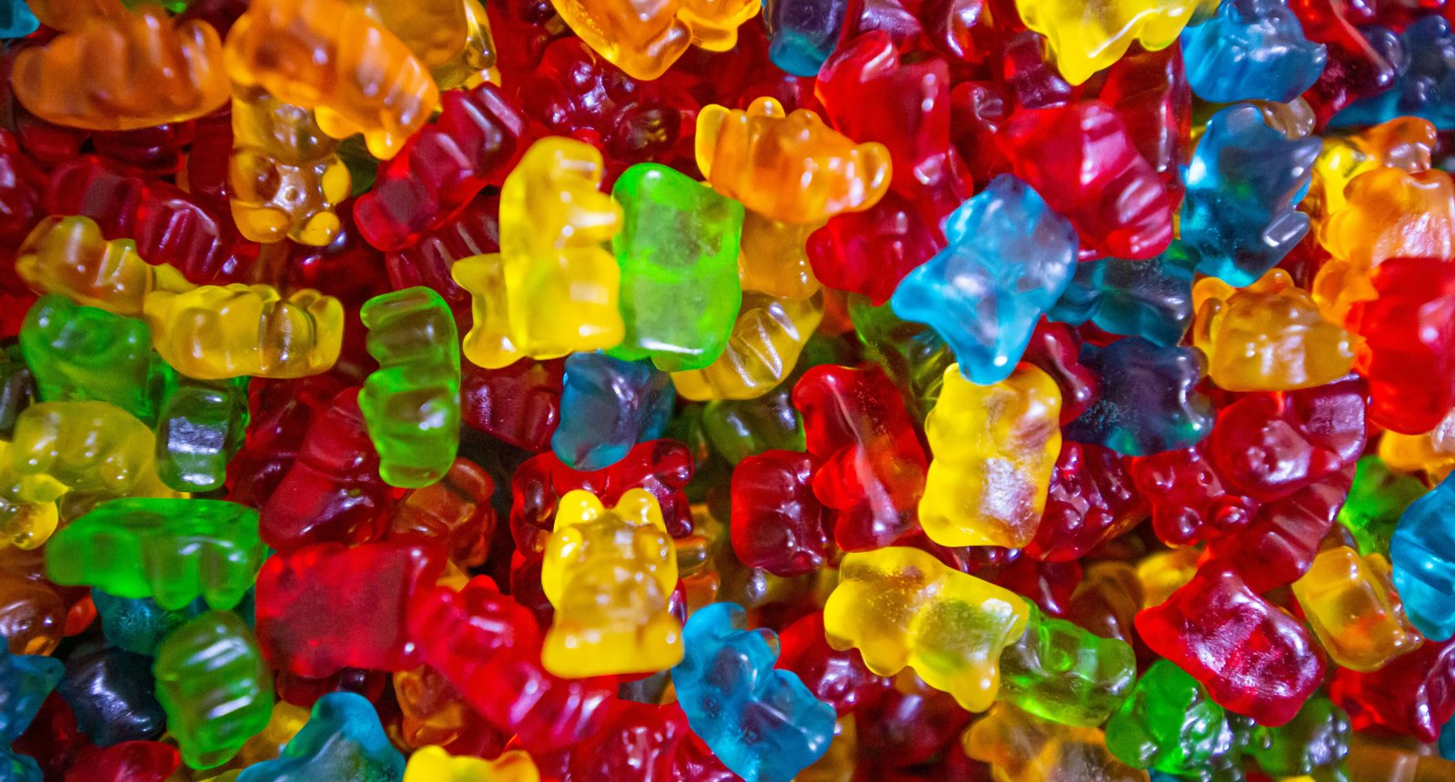 Bear Image